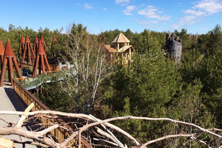 野性漫步 · 融入自然的高空步道设计-9