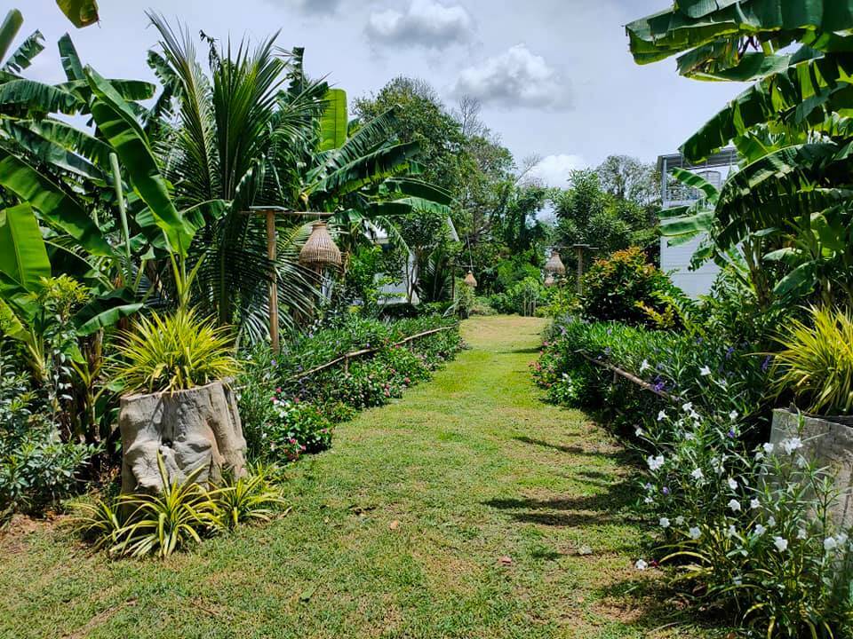 年轻农民在自然中建造的36平小屋丨泰国-25