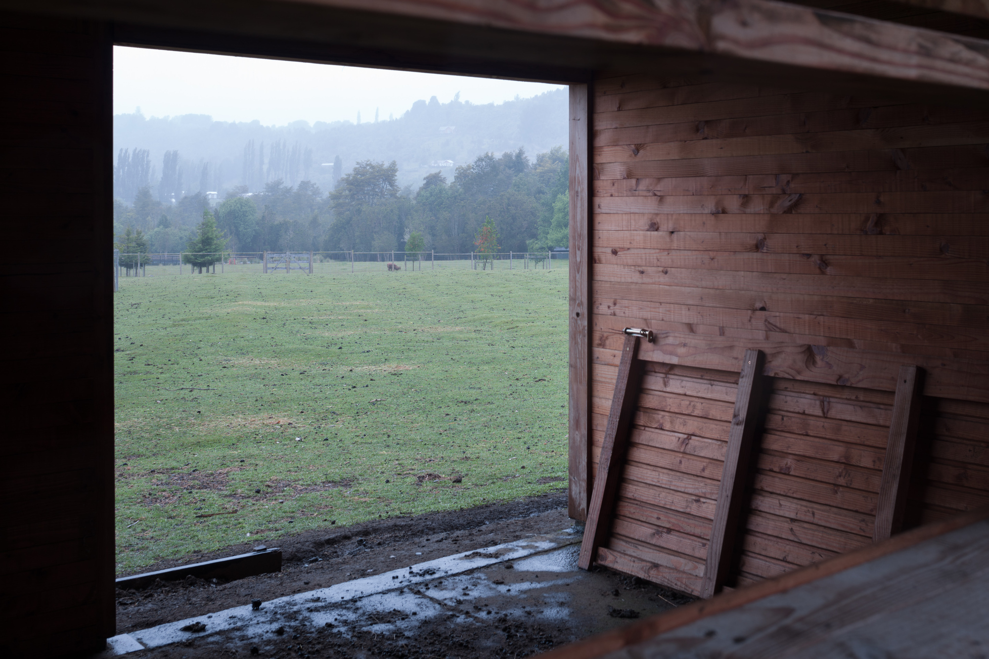 阿维亚里和稳定公园埃尔恩坎托丨智利丨DRAA-22