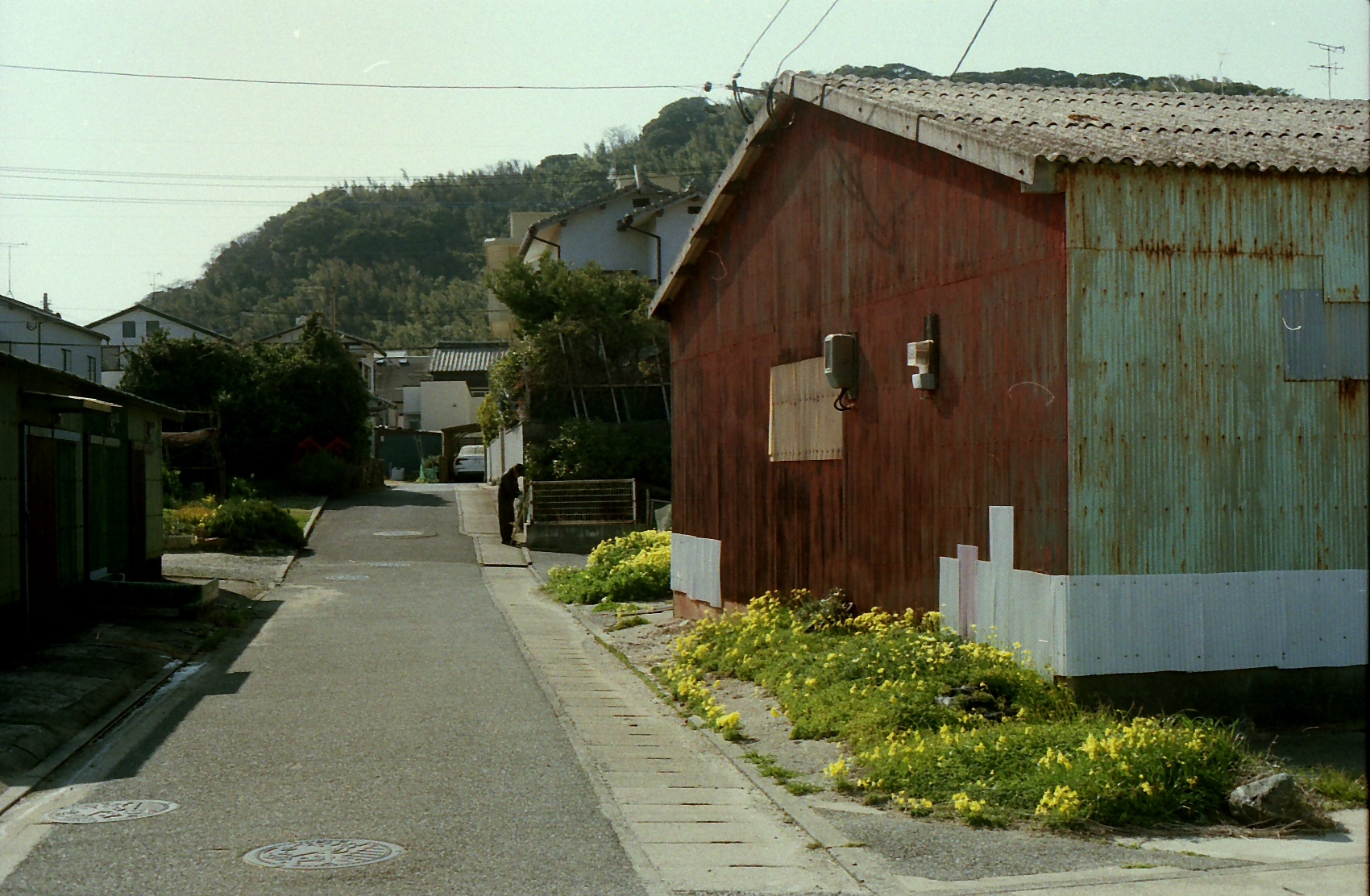 Film lives on.-10