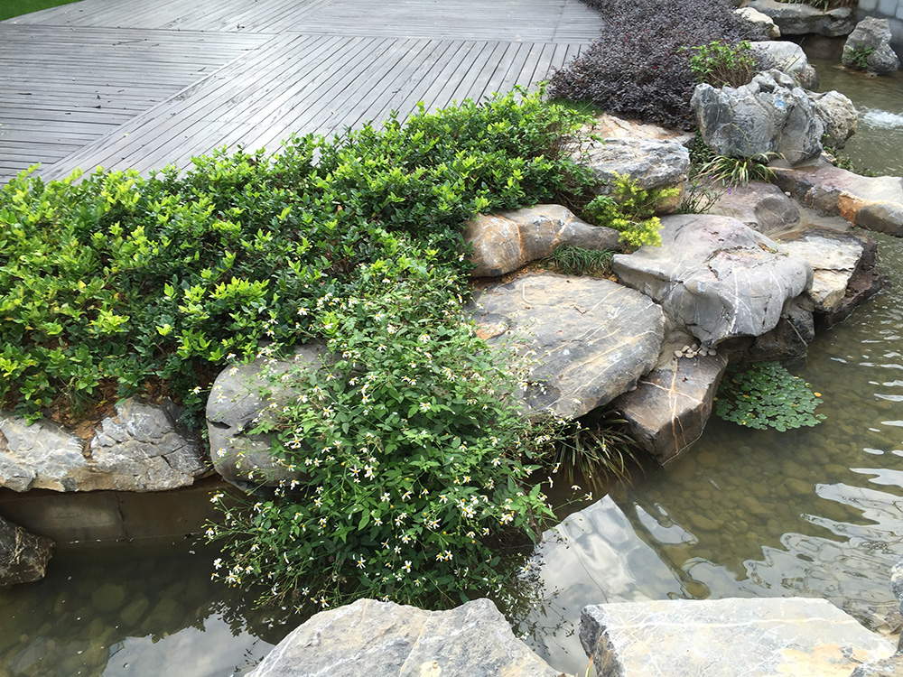 Zhoushan Zheneng LanTing Residence - Residence - L&A GROUP | To Create a Better Environment-37