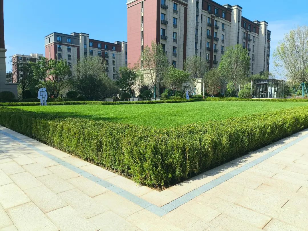 沈阳风景园林股份有限公司施工作品展I沈阳中旅万科城项目EC地块景观工程-49