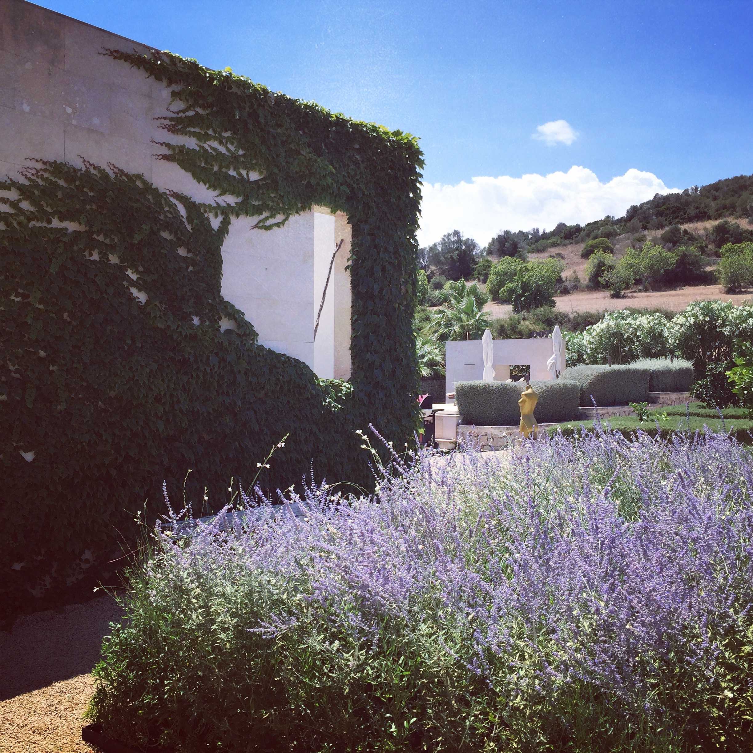 炼金术花园 | 橄榄树、小麦与柑橘的现代景观设计-7