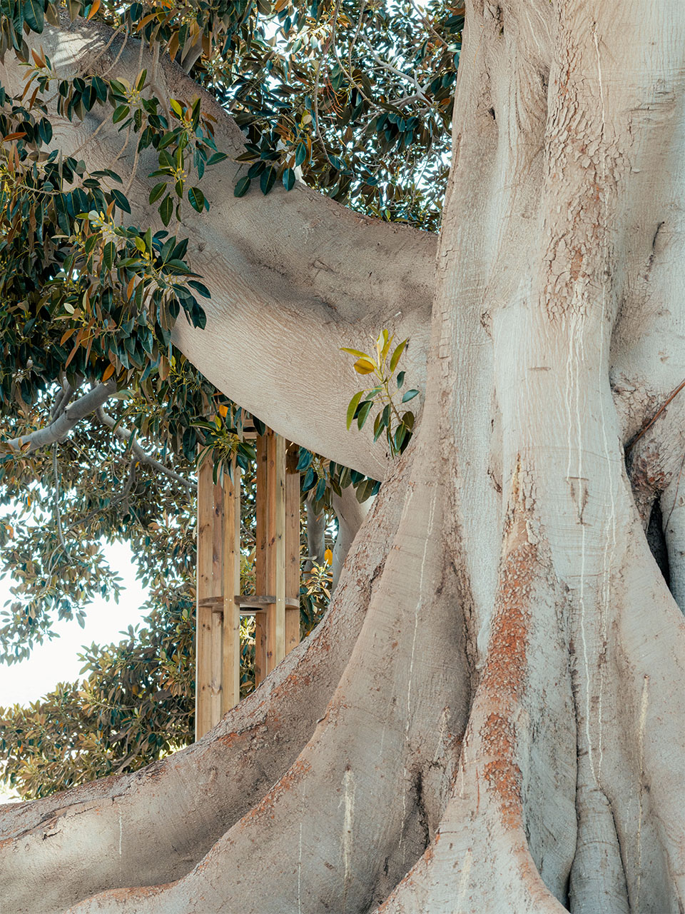 SAFE装置丨meii estudio-7