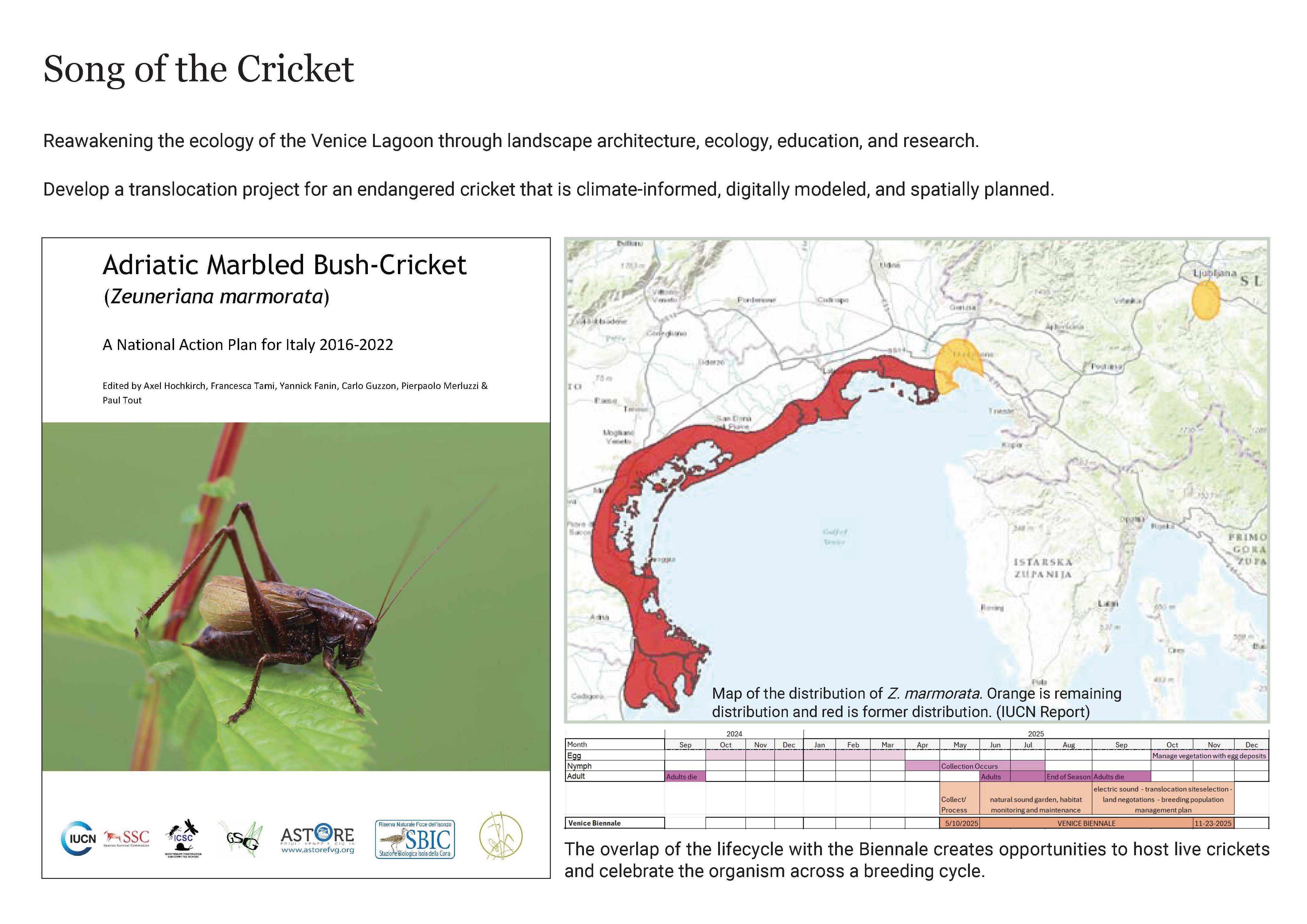 《蟋蟀之歌》丨法国尼斯丨墨尔本大学城市生态与设计实验室-26