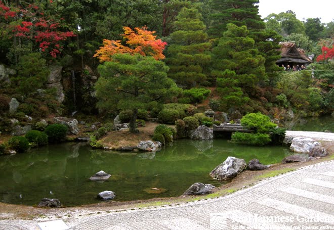 Ninna  ji（仁和寺）丨日本京都-8
