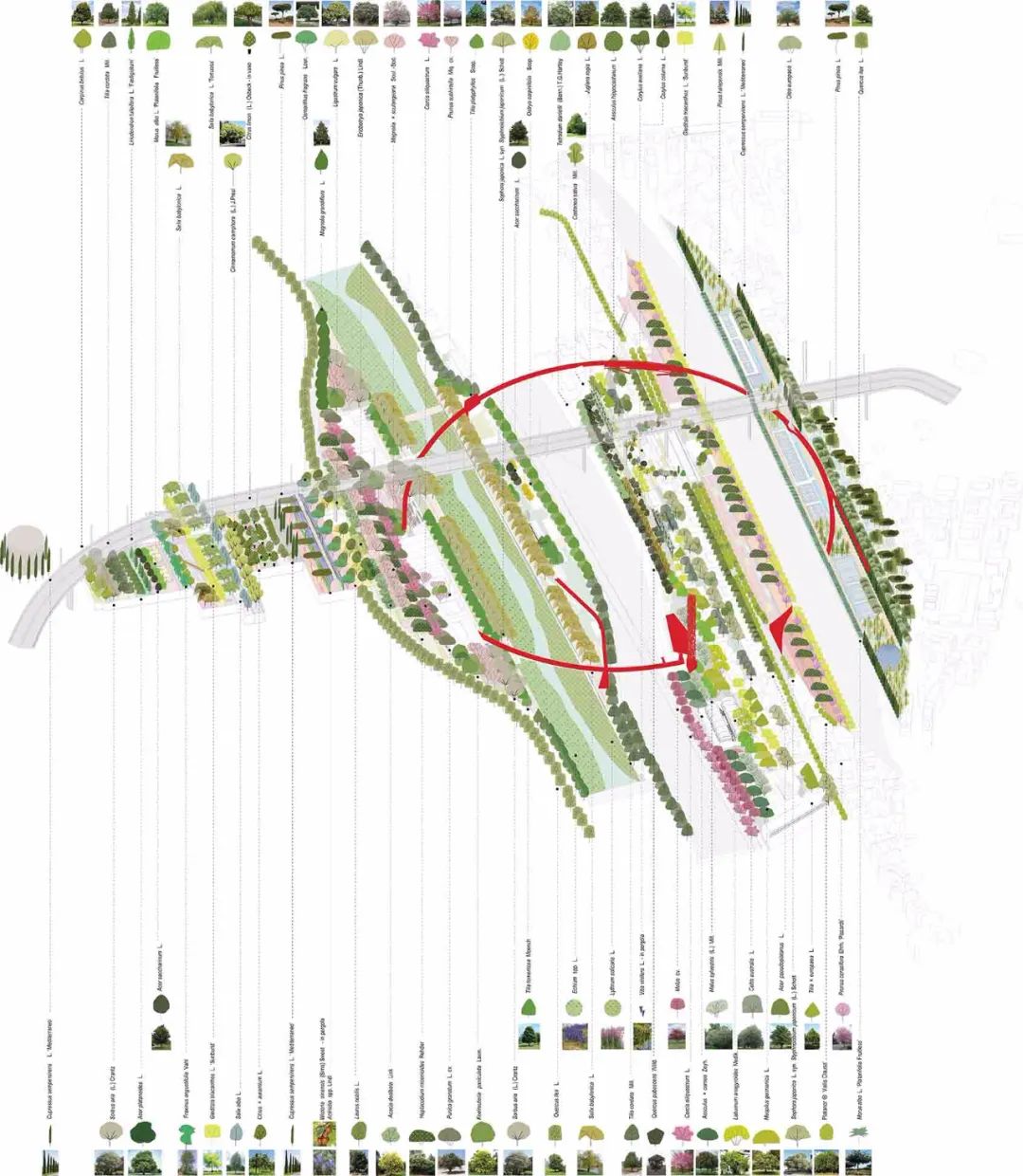 皮亚诺“莫兰迪大桥重建”与“红环”公园共建地区活力-47