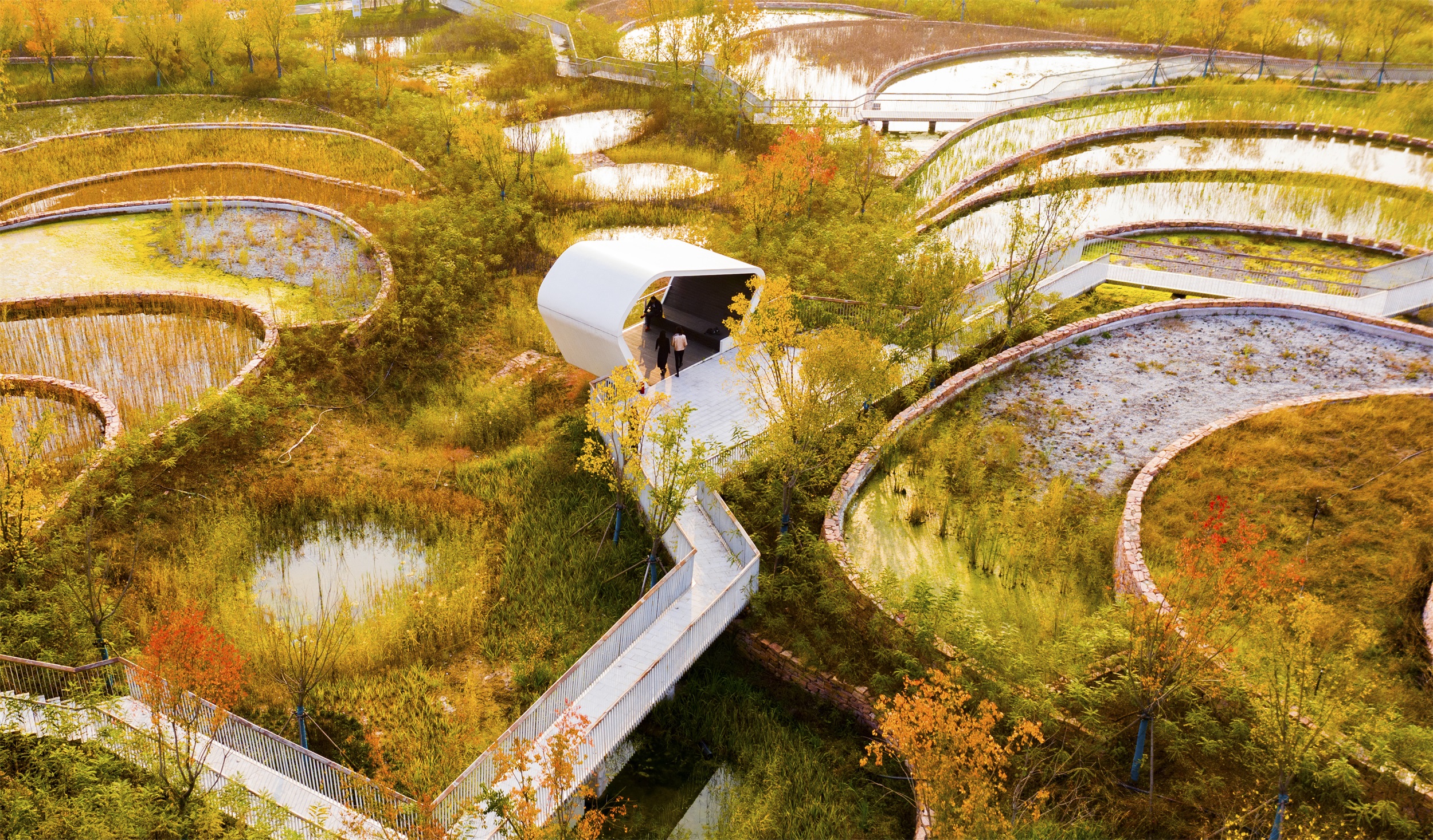 西安雁南公园（二期）丨中国西安丨土人设计（Turenscape）-110