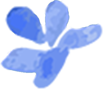 喜报▏济南园林集团《易安花卷》花境作品荣获多项省级大奖-12