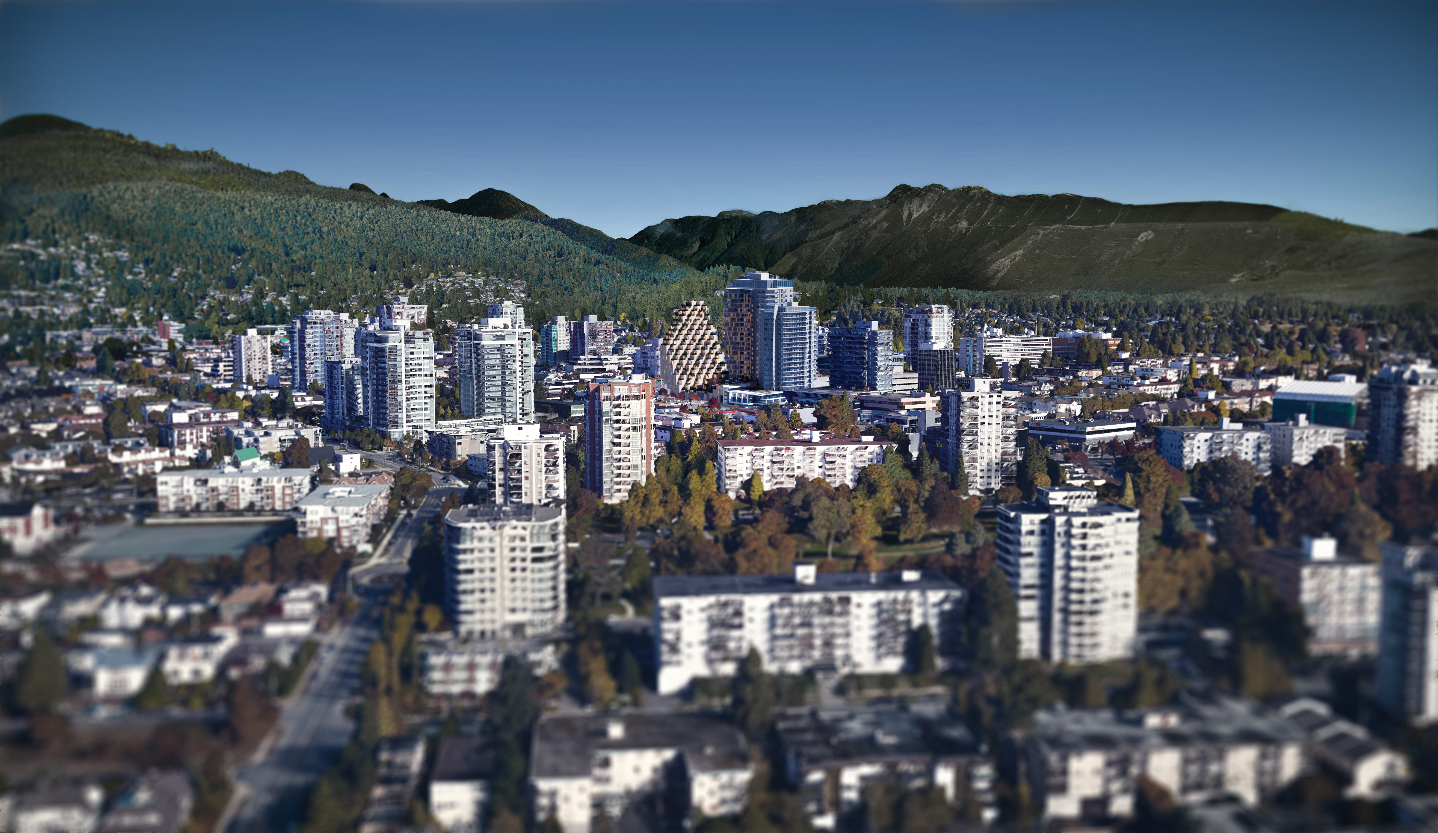 Forest Hill | Alterativ Design Lab-9