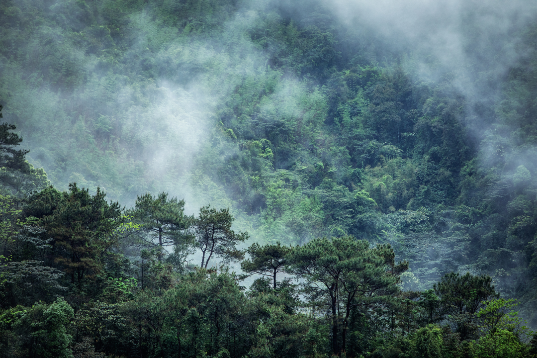 融创·由心谷生活馆丨中国清远丨春山秋水设计-10