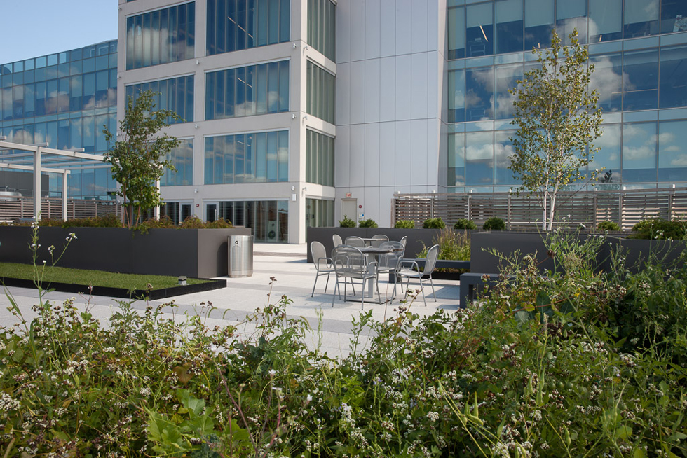 1K Fulton 办公楼-9