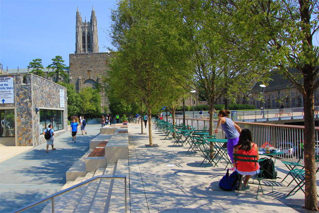 杜克大学多个校园景观项目（如医疗中心四方院等）-25