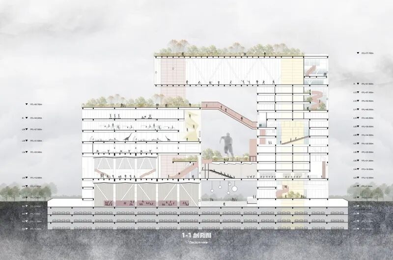 树生场馆，城伴林长-29