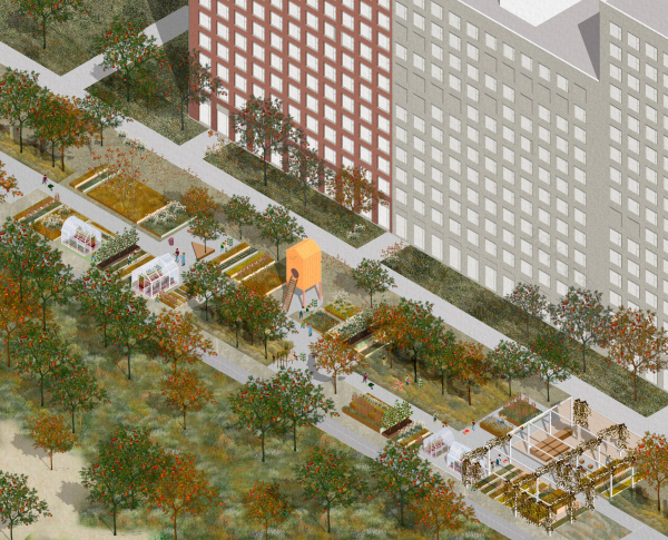 城市公园“苹果园”景观规划设计方案丨俄罗斯莫斯科丨TOBE architects-43