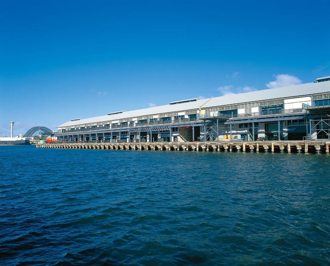 悉尼琼斯湾码头改造丨澳大利亚悉尼丨PTW Architects-0