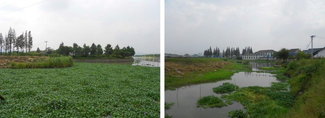 姚江水岸·农耕文化博物苑丨中国美院风景建筑设计研究总院-8