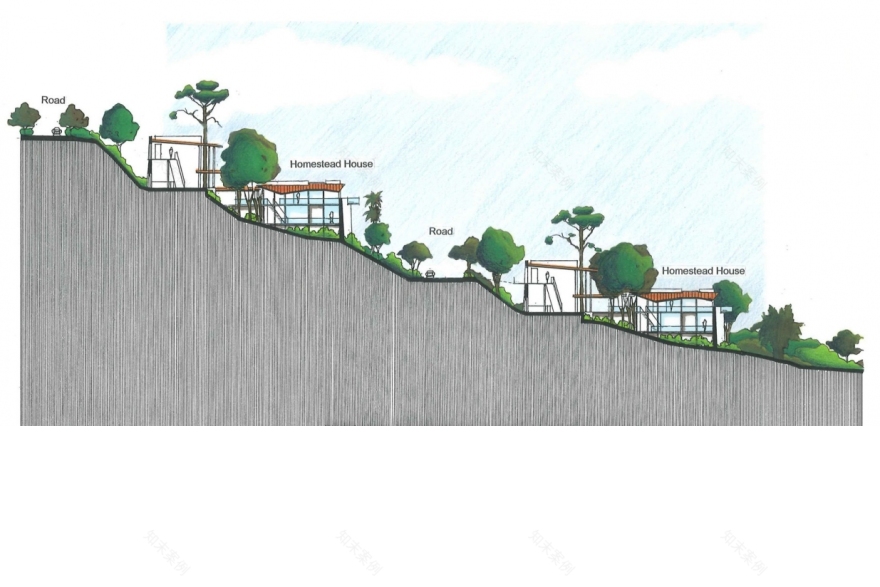 蒲种镇发展项目-2