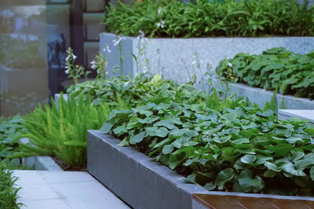 嘉兴万科·臻境荟景观设计丨中国嘉兴丨LAURENT 罗朗景观-25