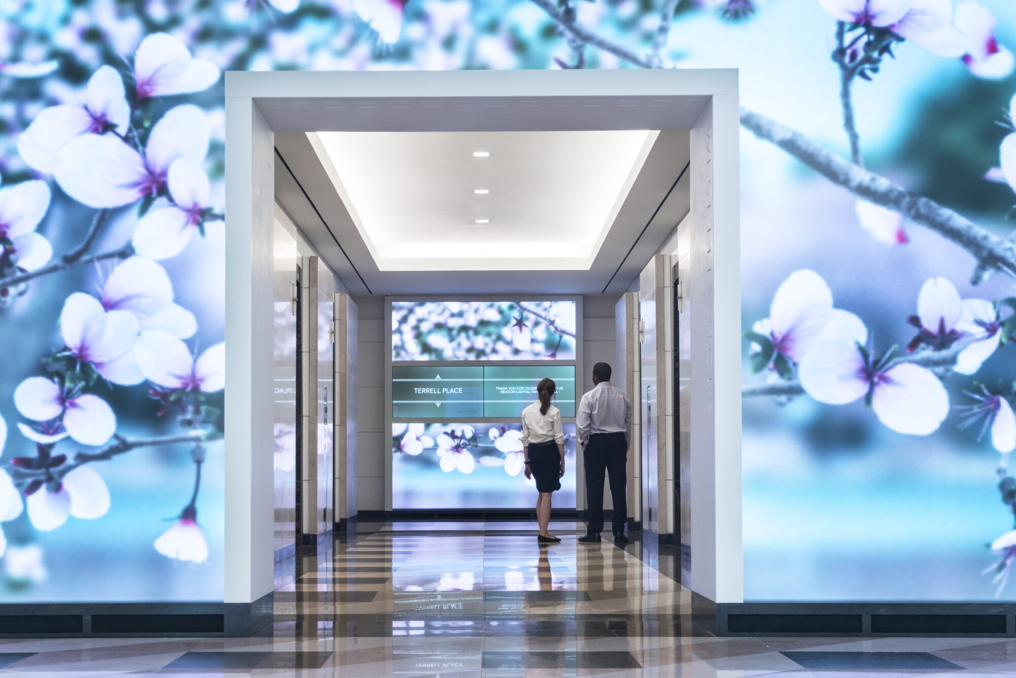 特雷尔广场重新定位项目 -5