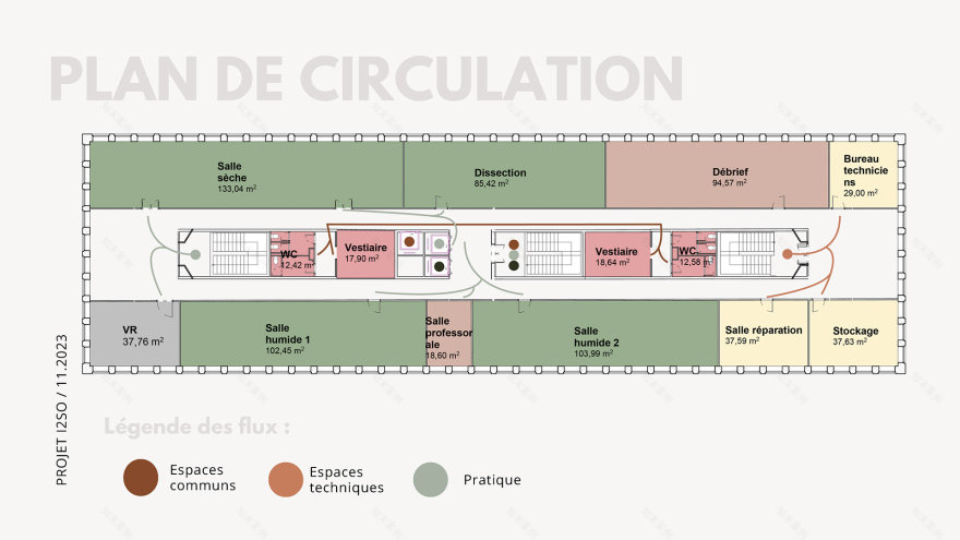 I2SO 大学口腔学院丨法国图卢兹-32