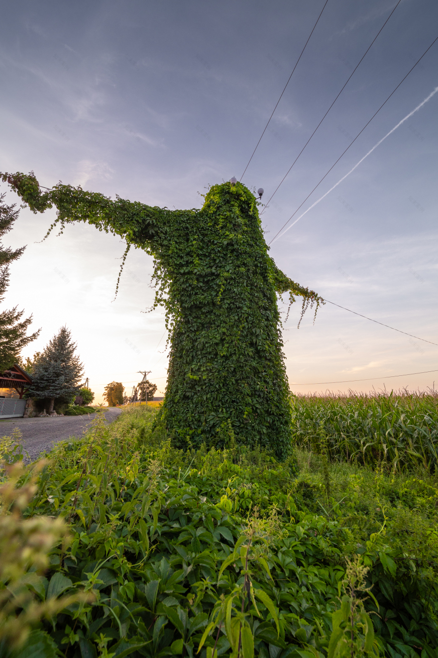 波兰奥波莱省“神秘生物”电线杆景点丨波兰波莱-12