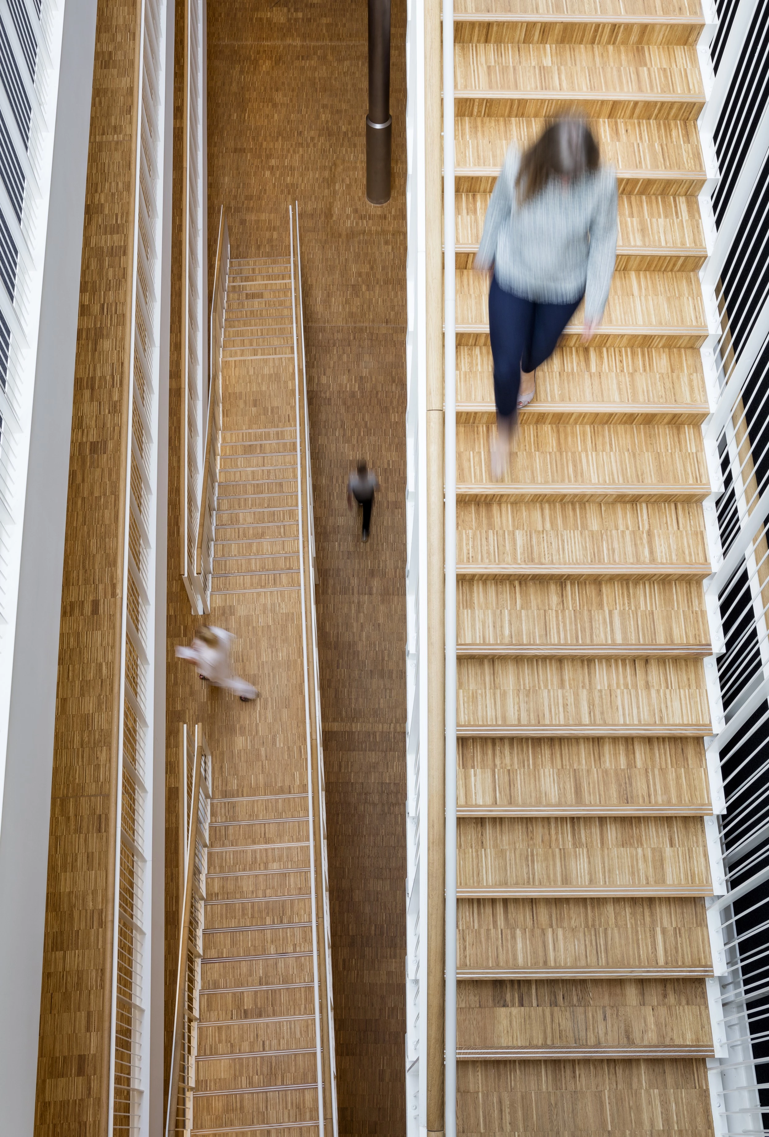 患者酒店·3XN,LINK 建筑事务所-22