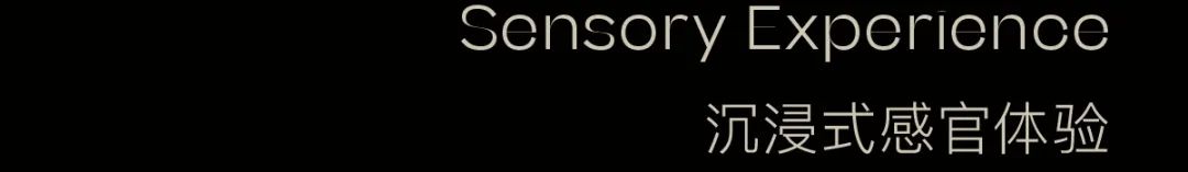 龙湖集团·深圳光明御湖境项目丨中国深圳丨DAS 大森设计-33