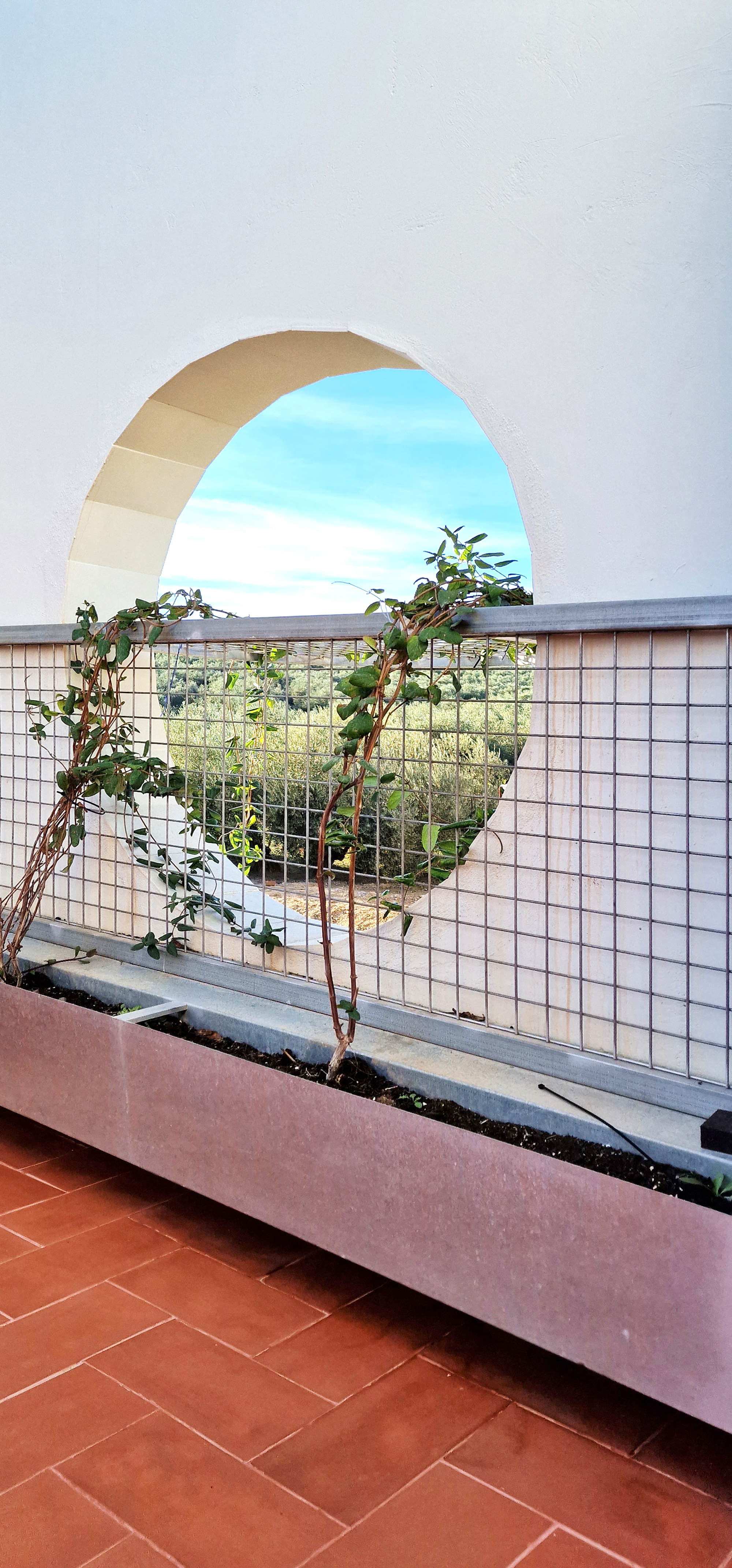 自由之家丨西班牙丨GRAO-45