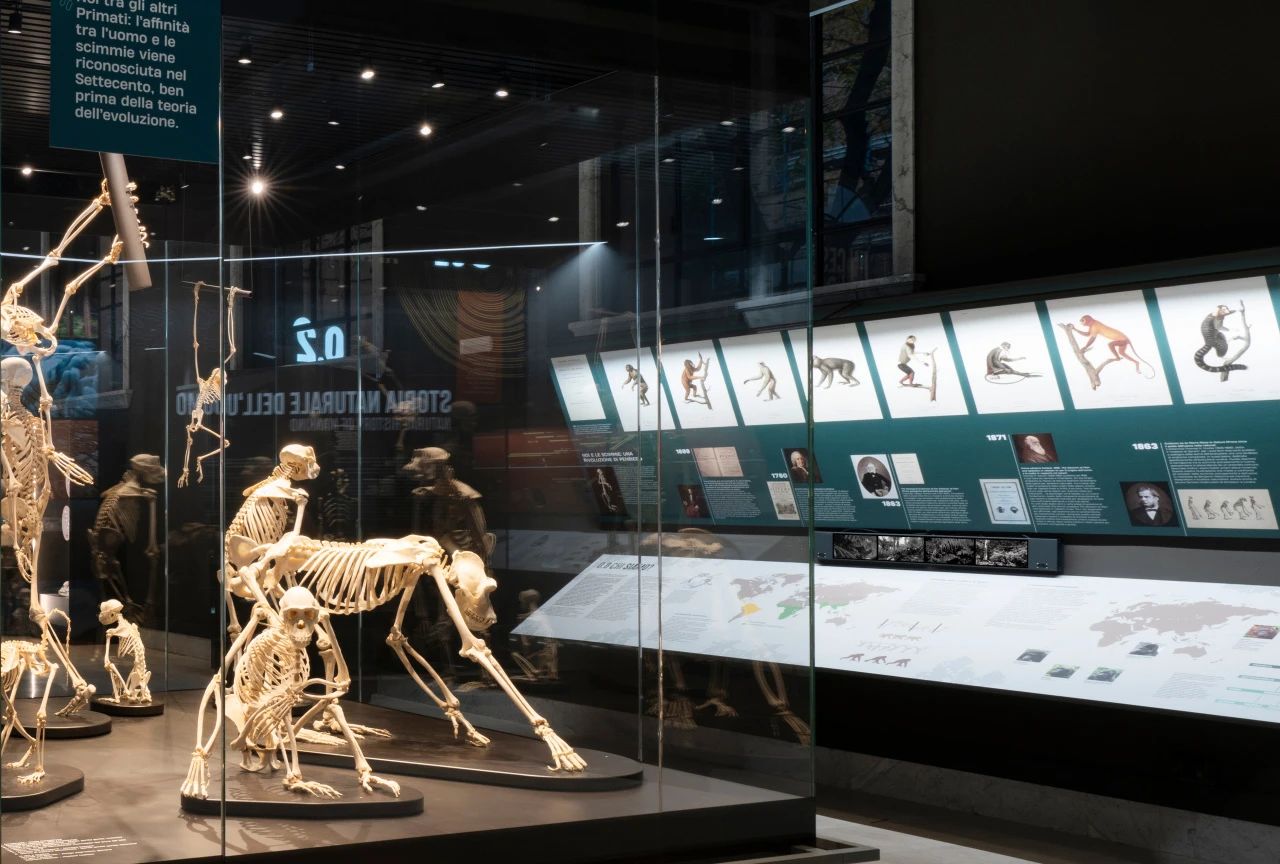 米兰自然故事博物馆(第九展厅)丨意大利米兰丨意大利 Migliore Servetto 设计工作室-24
