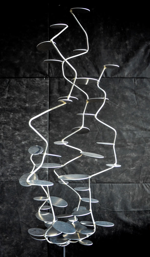 Biota | David Friml-39