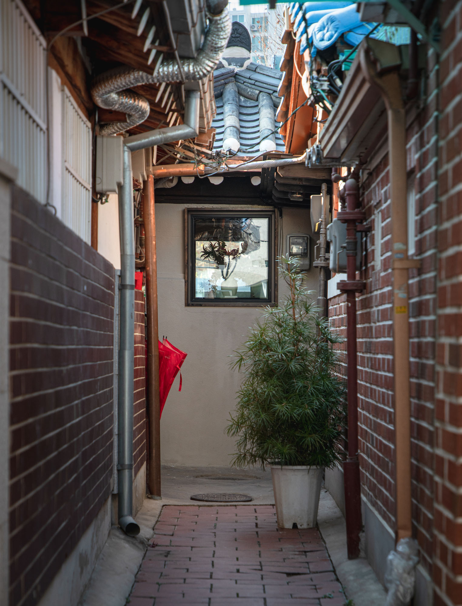 SLIM HANOK 韩屋丨韩国首尔丨Z_Lab-3