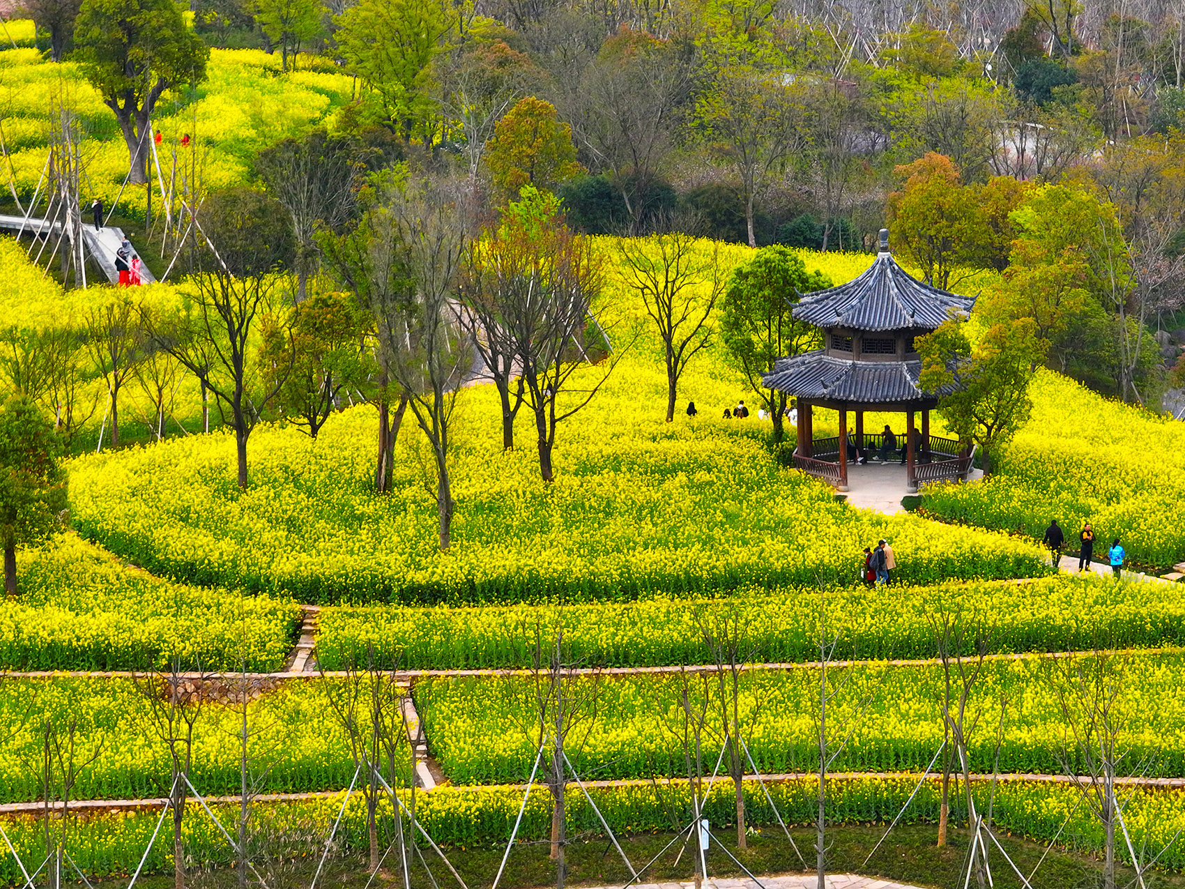 金华湖海塘公园丨中国金华-18
