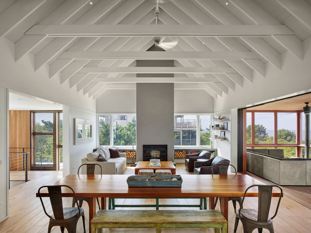 Robert Young Architects 的 Lewes Beach House - 现代简约的海滨住宅设计-15