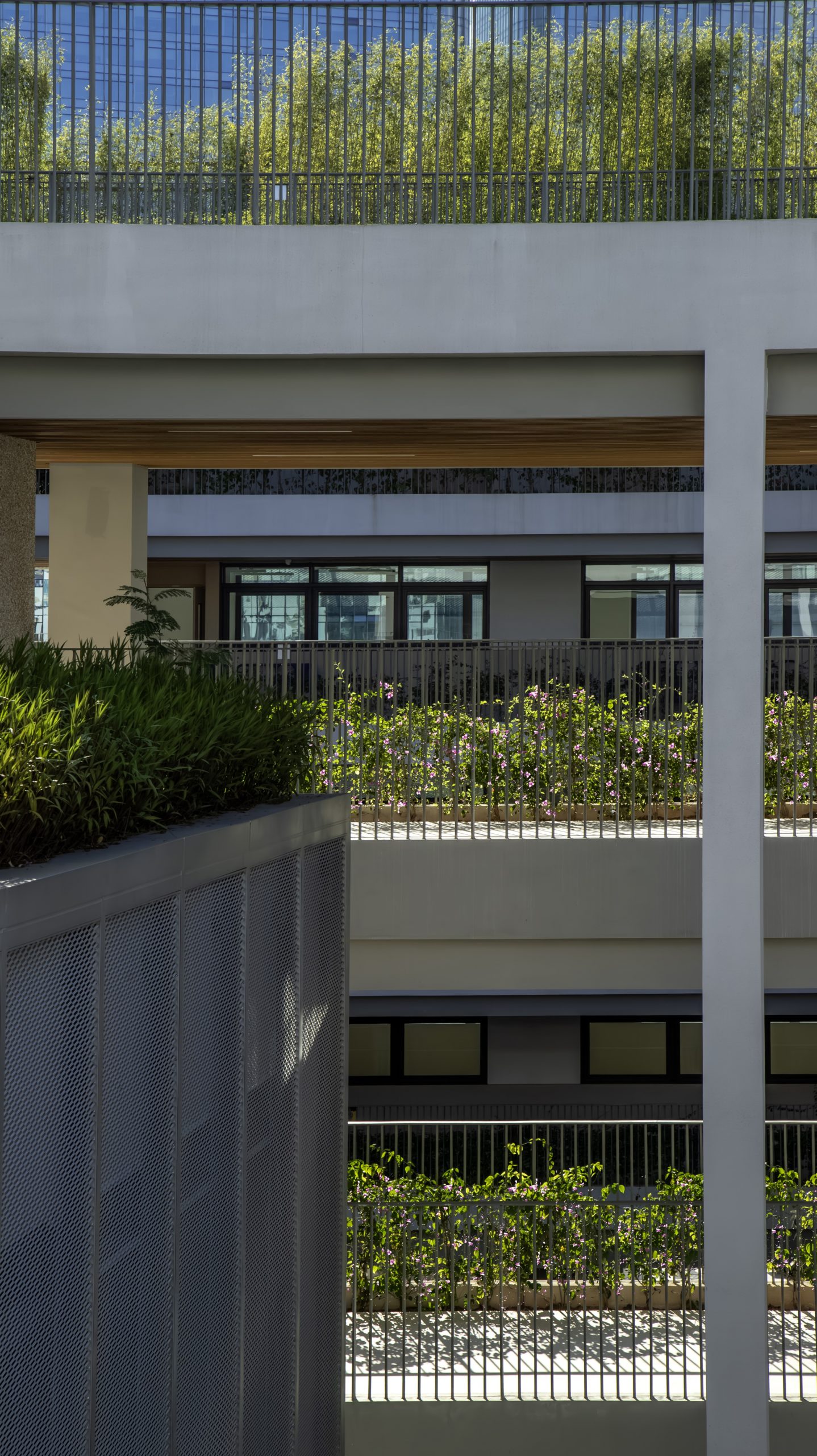 深圳市宝安中学(集团)海天学校丨中国深圳丨HILL 希尔景观-40