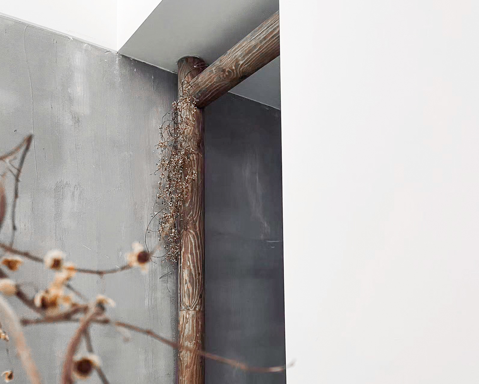 有时茶想丨中国广州丨广州市美林文化传播有限公司-32