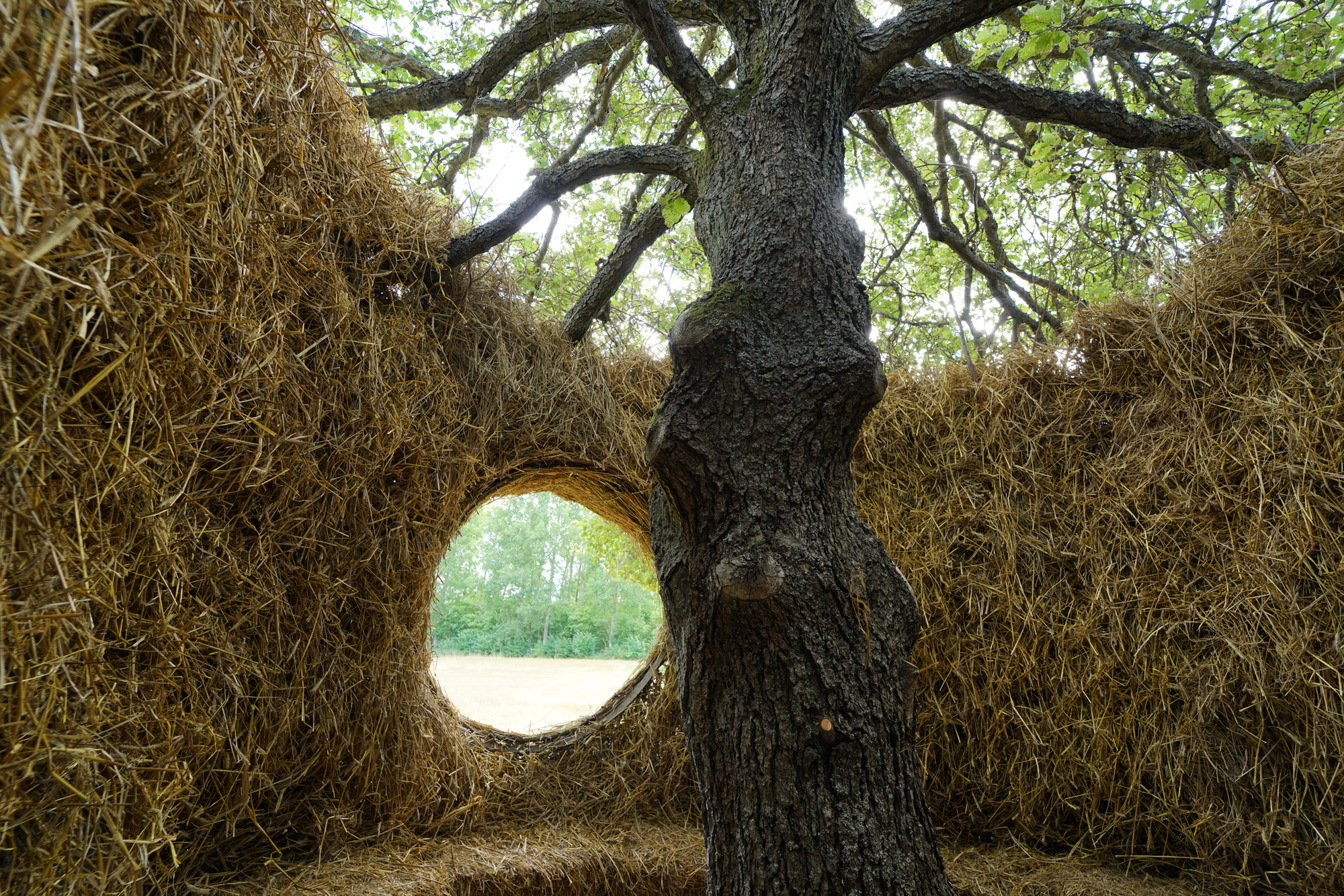 一树四季装置丨瑞典丨Ulf Mejergren + Antti Laitinen-10