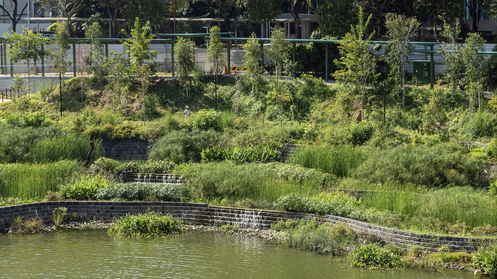 比达达利公园丨新加坡-44