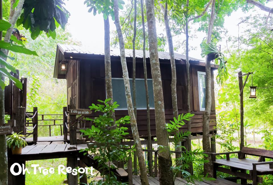 7 บ้านไม้ยกพื้นใต้ถุนสูง แบบไทยโบราณ บรรยากาศร่มรื่น - บ้านสไตล์-41