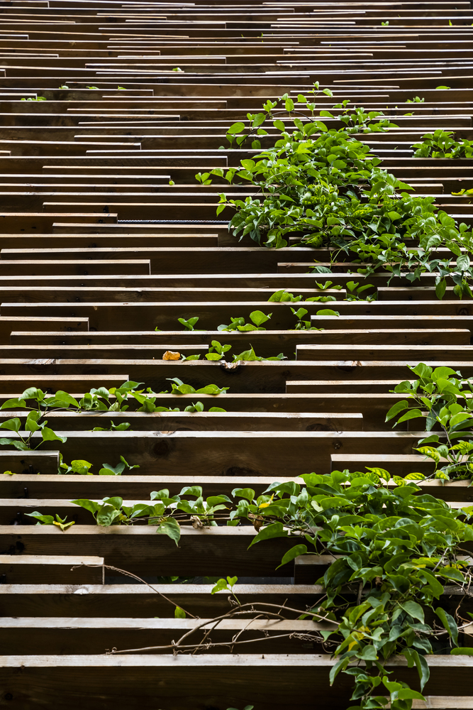 越南 Hoi An 新型酒店 Thalia Boutique丨Ho Khue Architects-47