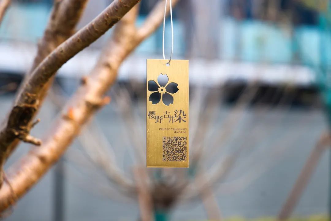 金沙操盘 | 成功经验：从河南火到全国各地（实地考察+主题演讲）-60