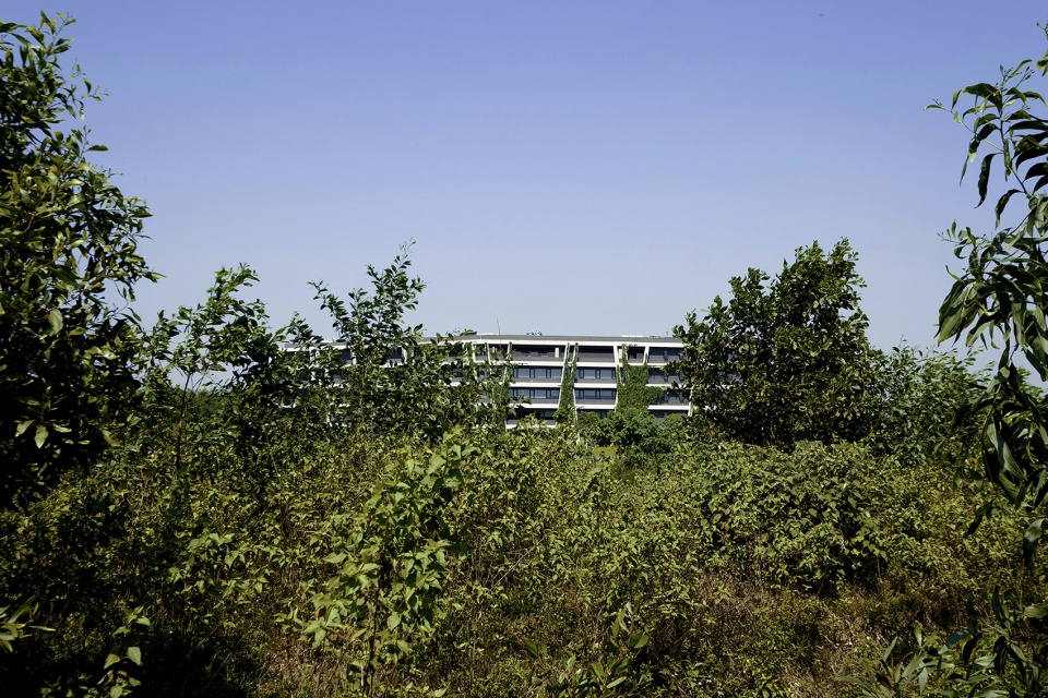 混凝土蕾丝 · 越南高科技园区的绿色办公楼-23