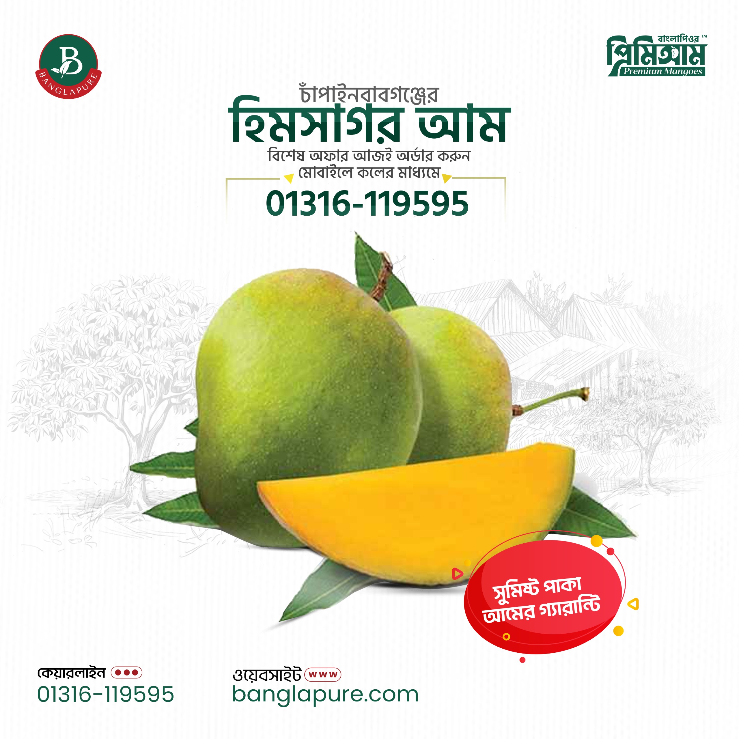 有机食品创意广告丨BanglaPure-6