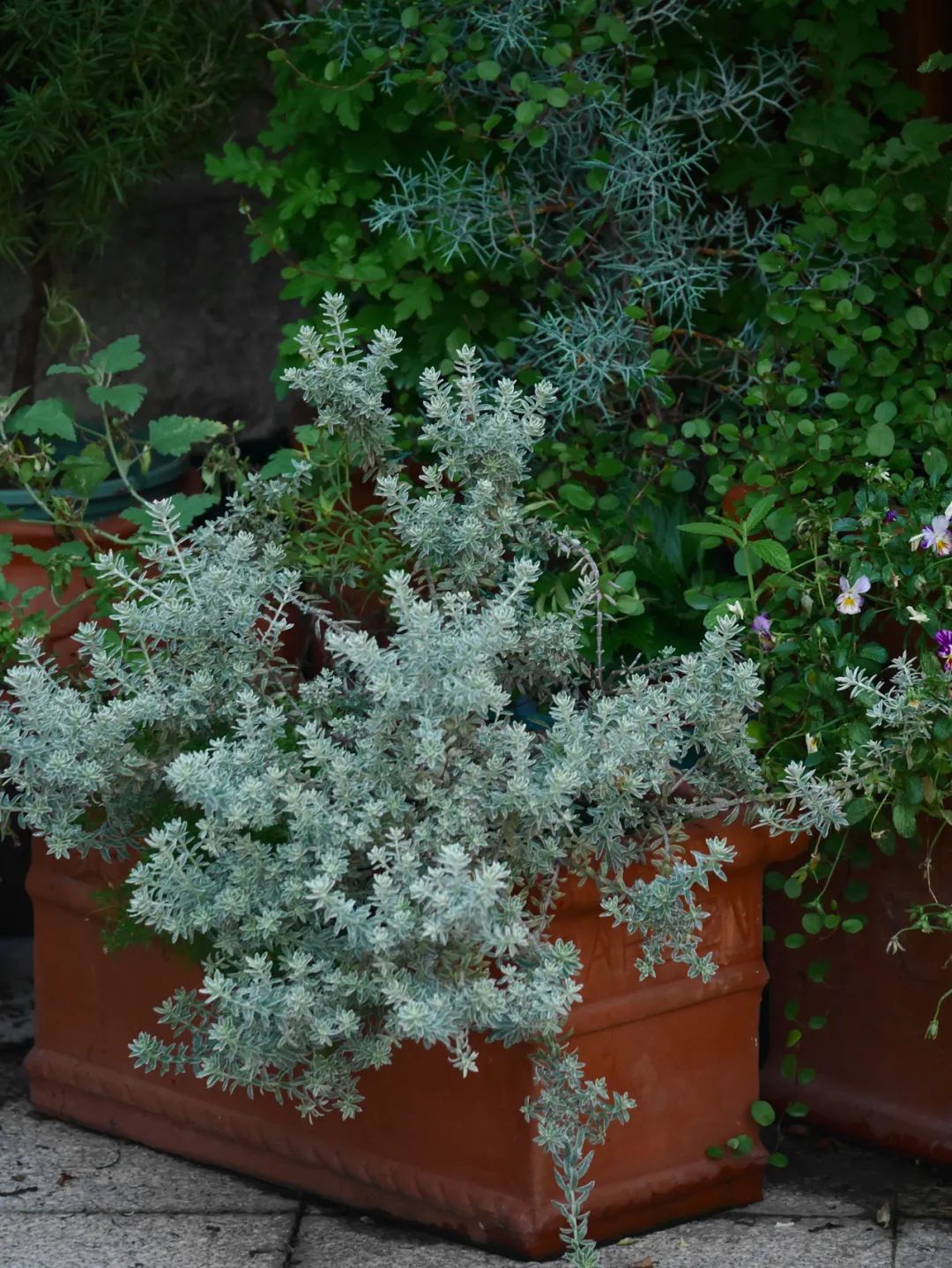 一米花园丨中国上海丨专业设计团队-76