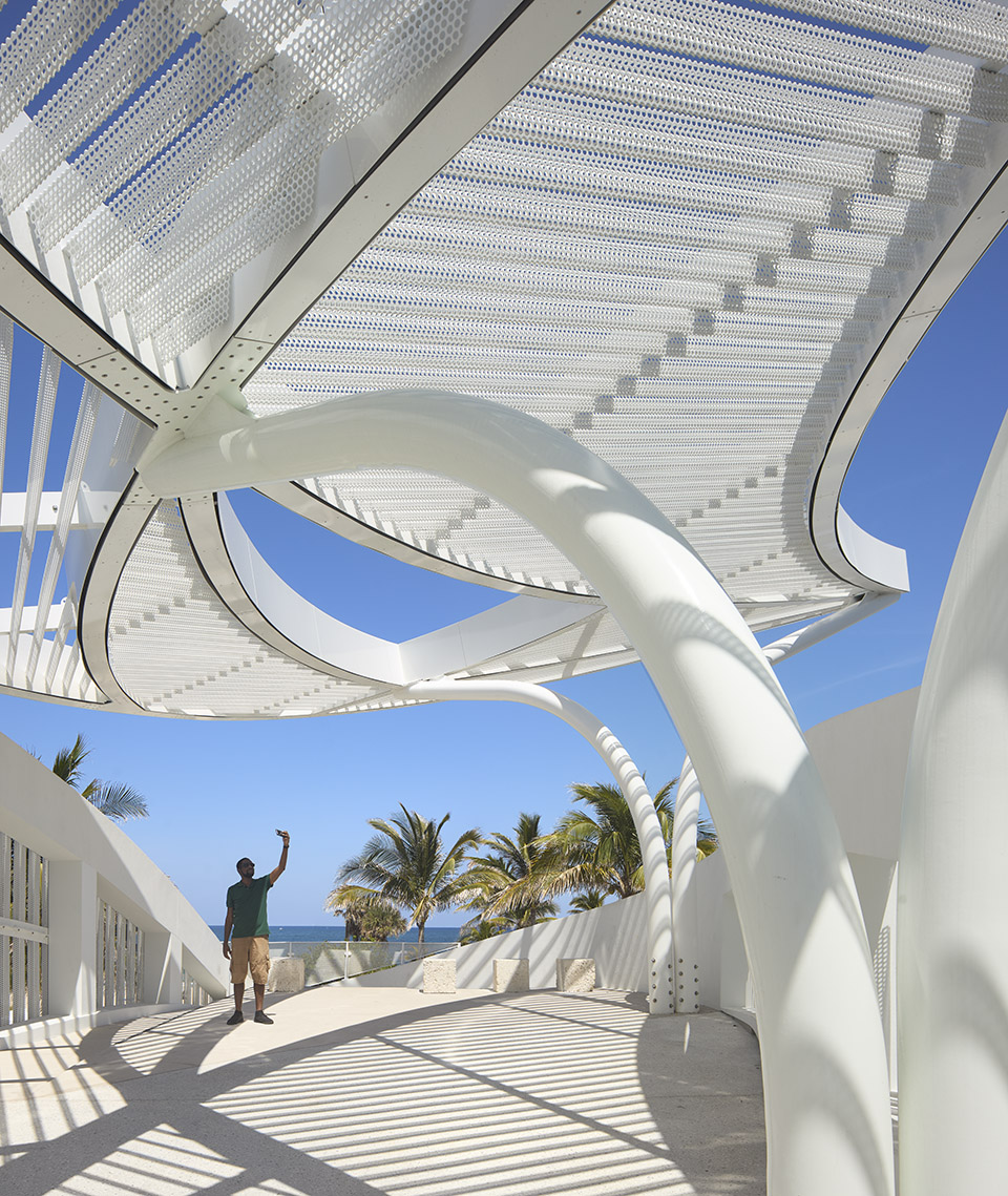 DC Ale·ander公园丨Brooks + Scarpa-35