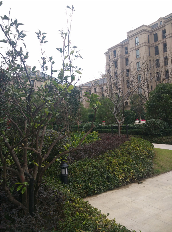 魔都 80 后小夫妻的清新简约新家-23