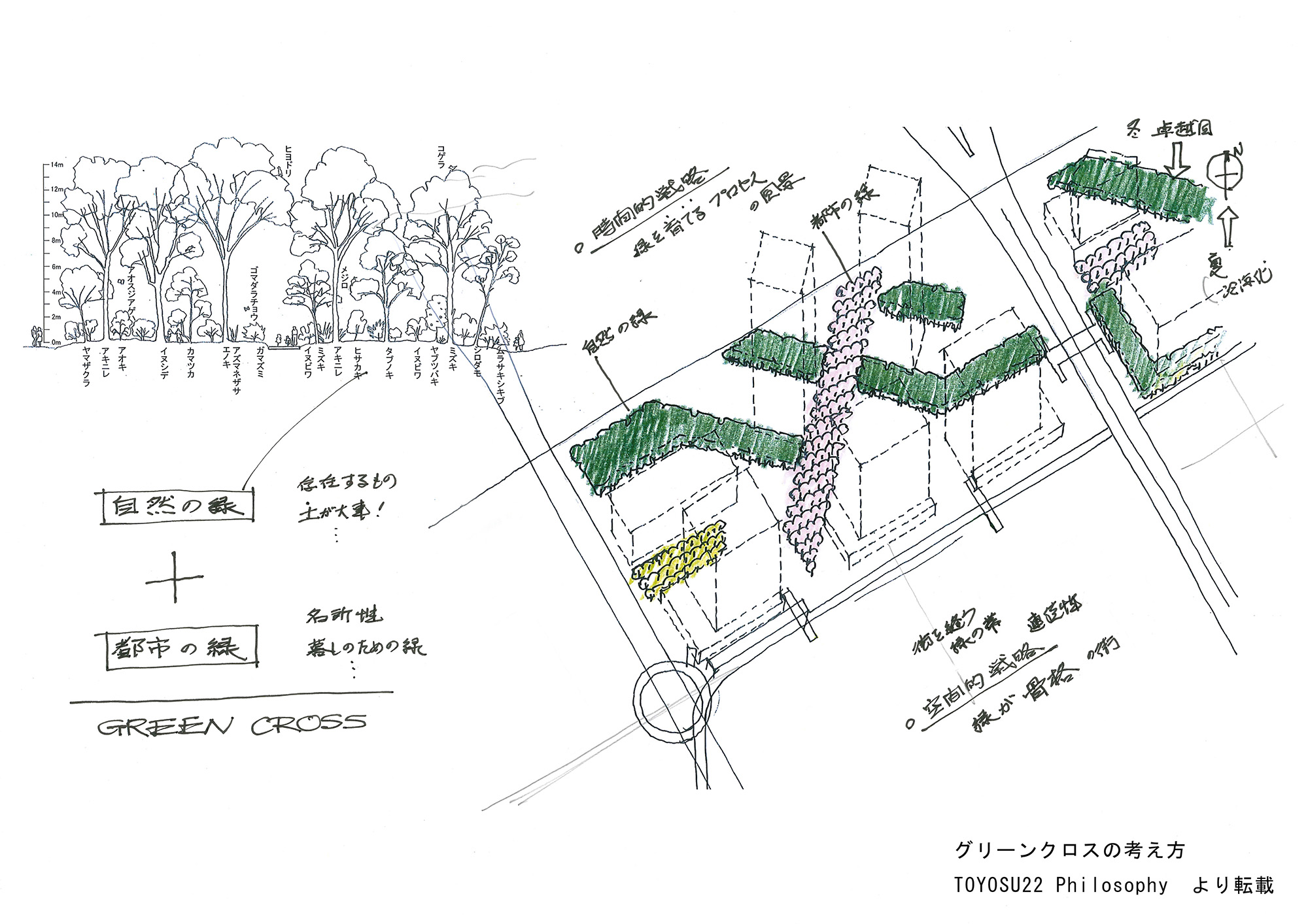 东京湾中心 · 绿色交叉项目丨日本东京丨三谷彻等-27