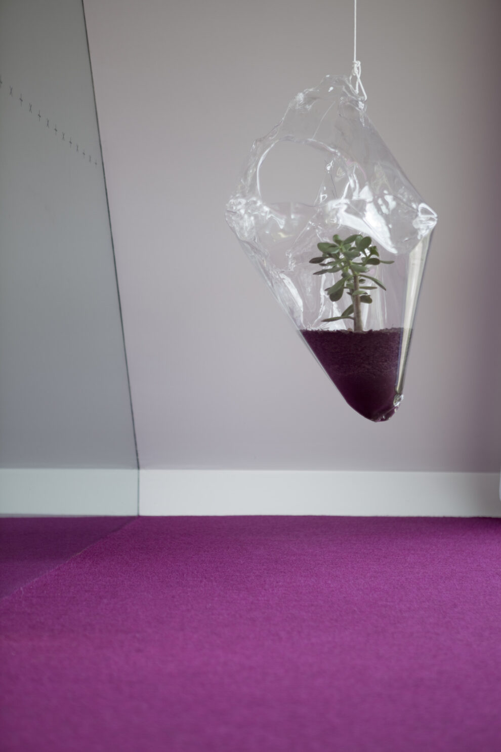 丨澳大利亚霍巴特丨未明确提及-26