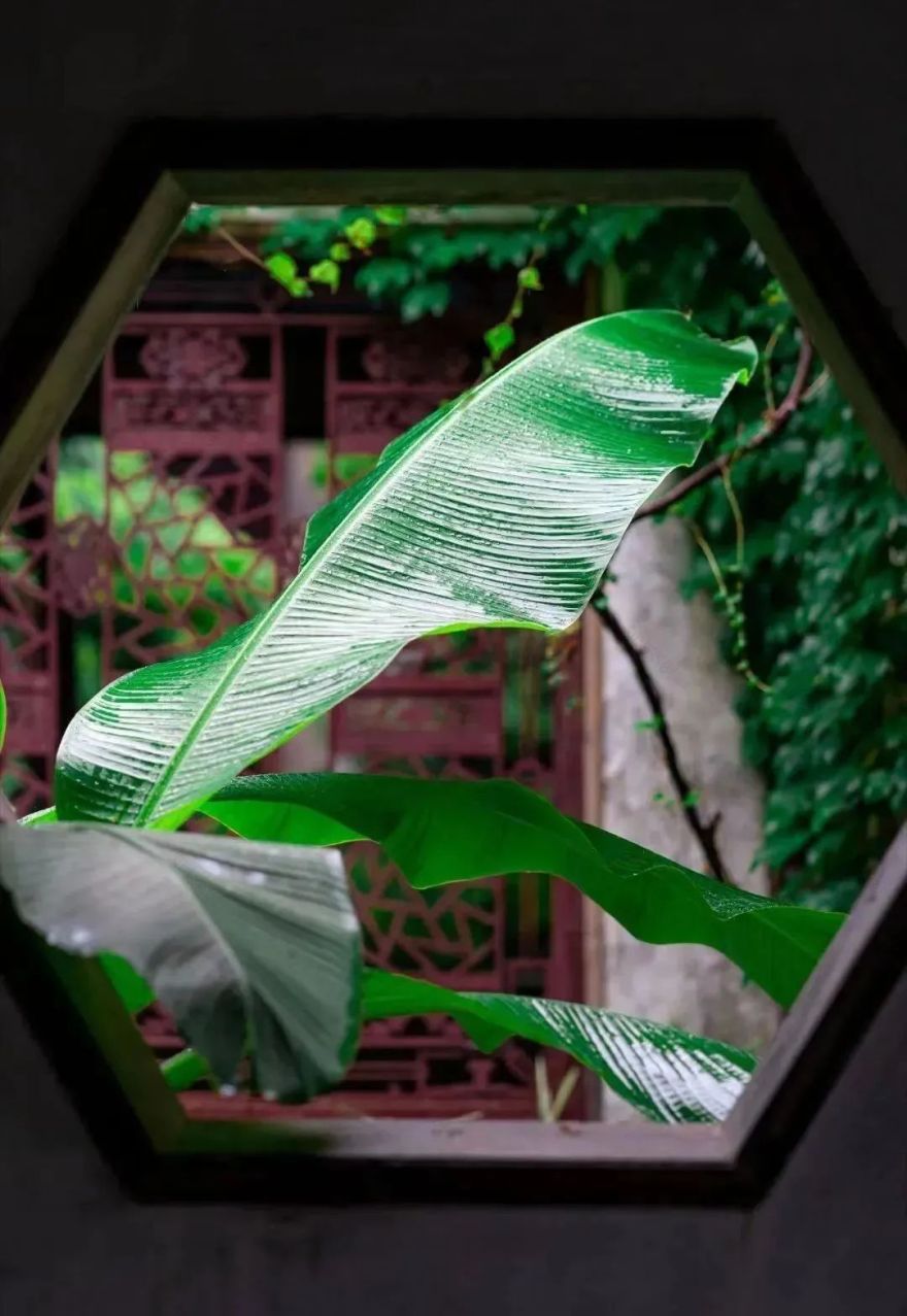 苏州园林之美 · 传统元素演绎现代美学丨中国苏州丨苏州裕成园林-28