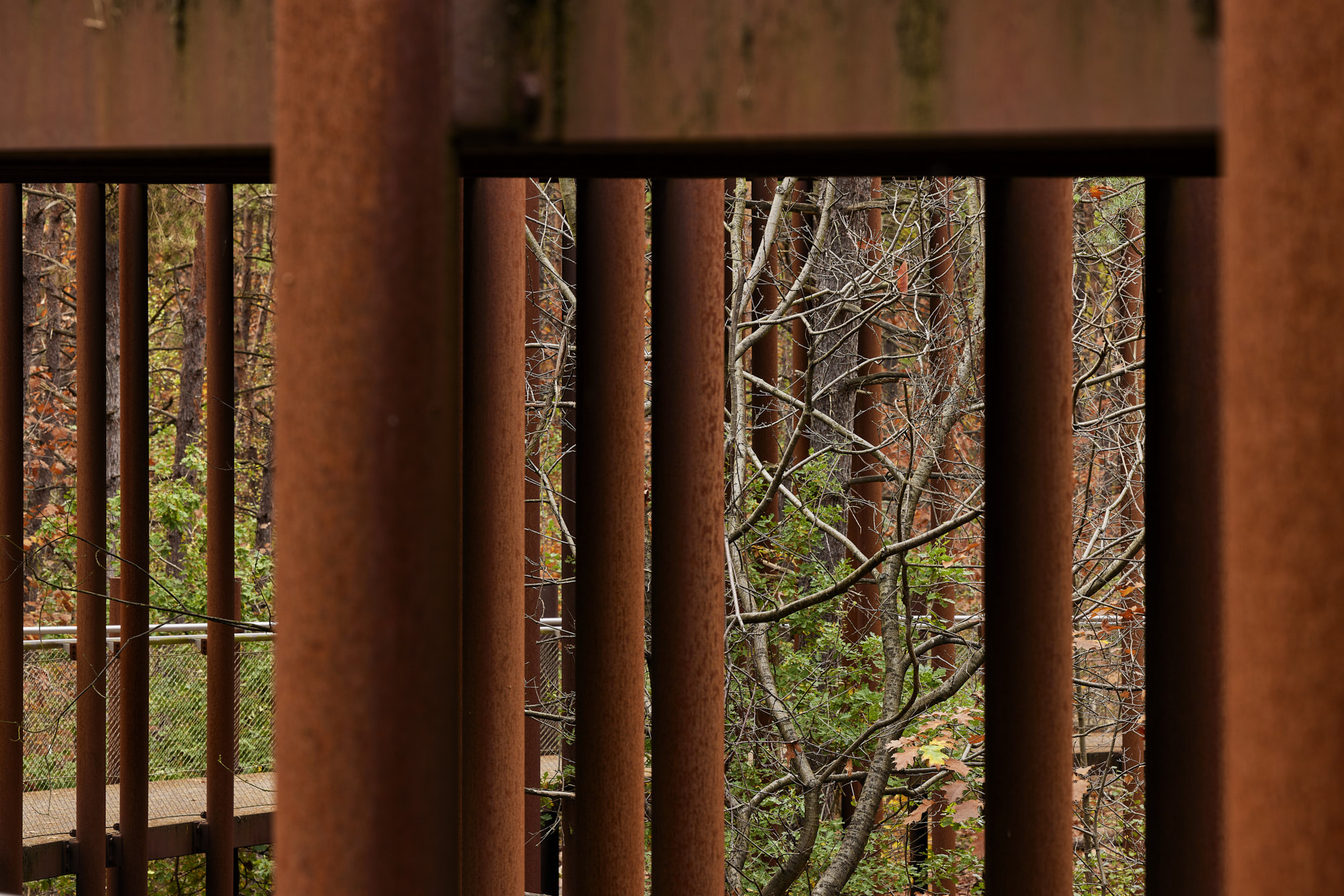 在树林中骑行丨Visit Limburg-16